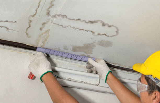 Reliable Burst Pipe Cleanup contractor in Oak Park, MI by Water Damage Irwin